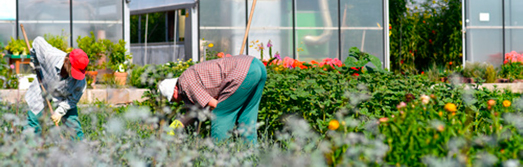 cabeceras-cursos-orientacion-agricultura