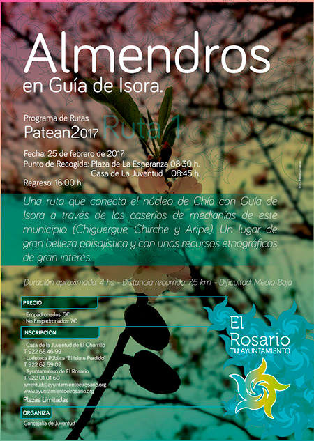 actividades-juventud-ruta-almendros-2