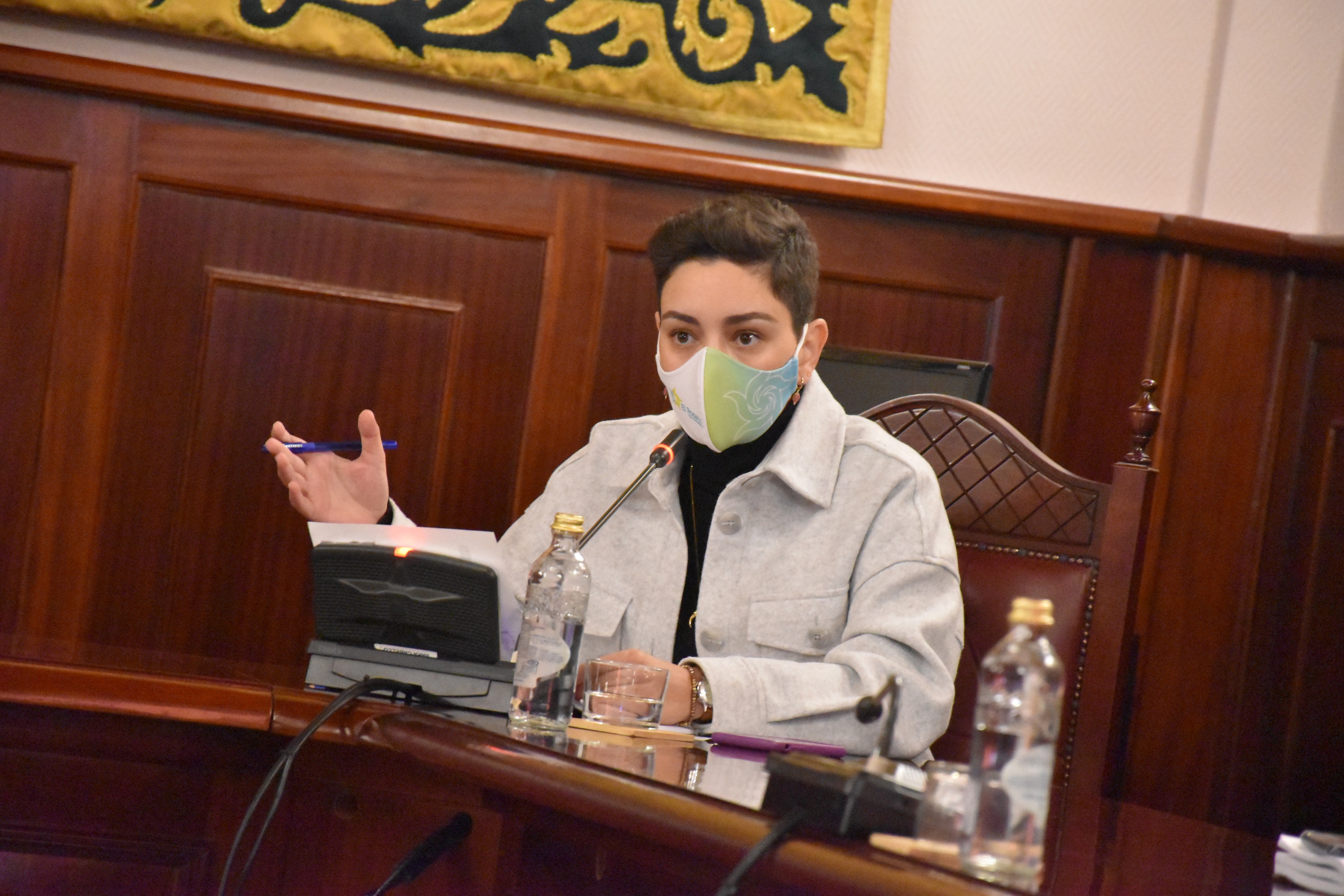 Sara Cabello durante el pleno extraordinario