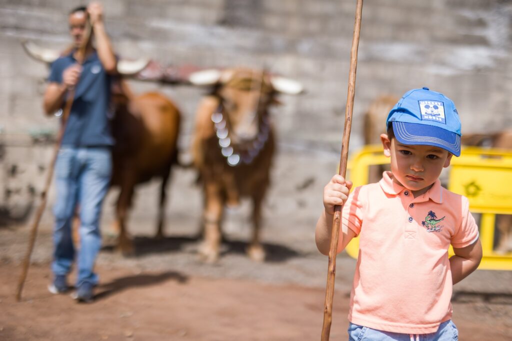 Feria de ganado 8º Día de las Tradiciones (1)