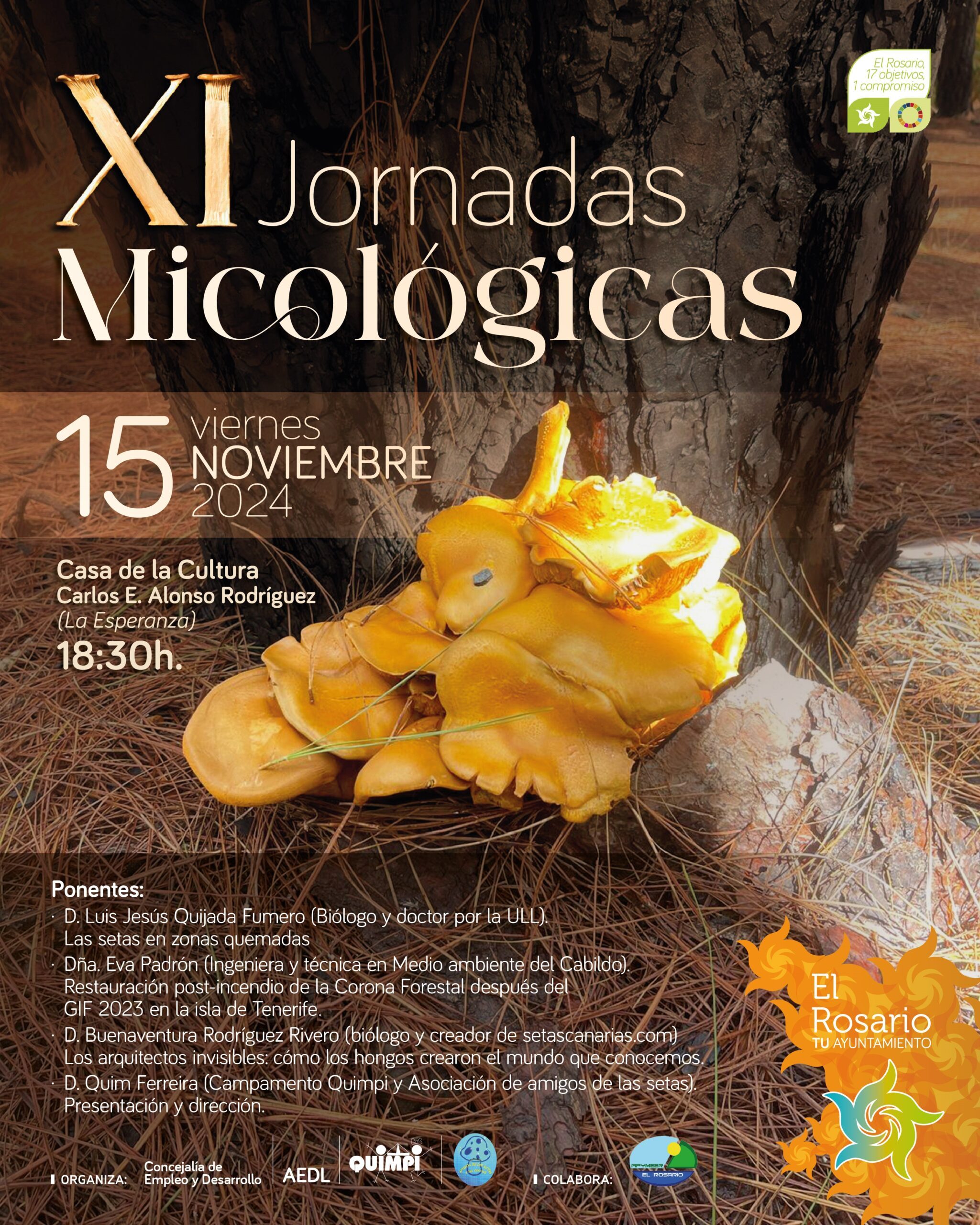 XI JORNADAS MICOLOGICAS - CARTEL REDES