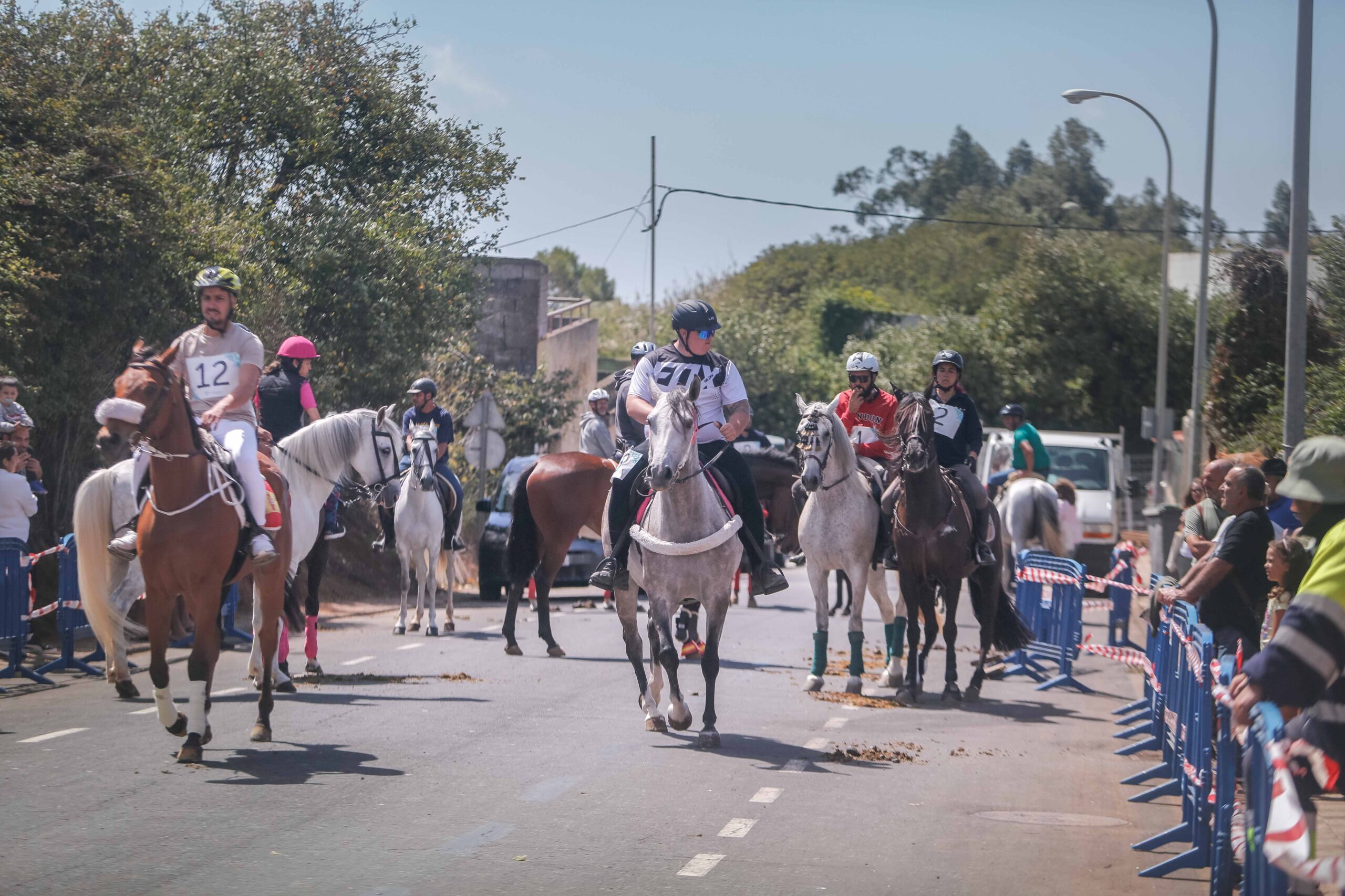 Sortija Caballo RRSS 05 08 23-68