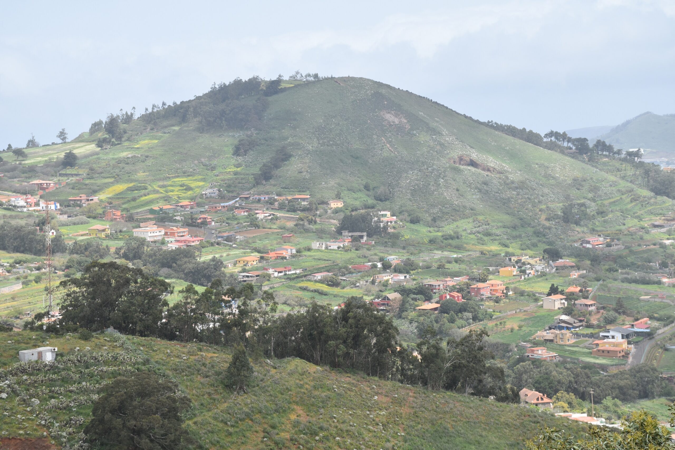 Núcleo de viviendas en El Rosario en zona de interfase