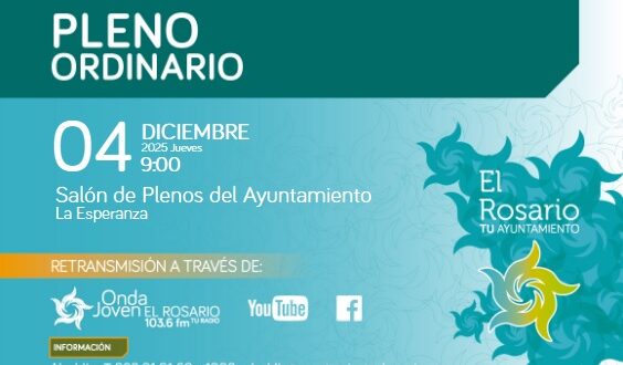 pleno-diciembre-2025