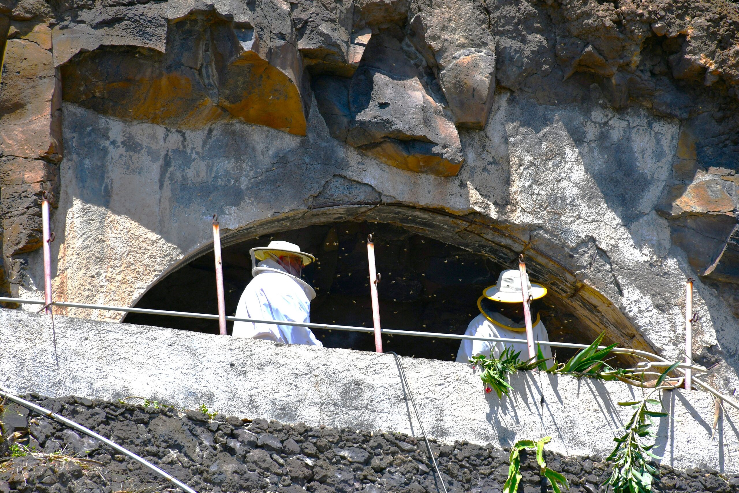Obras emergencia litoral (4)