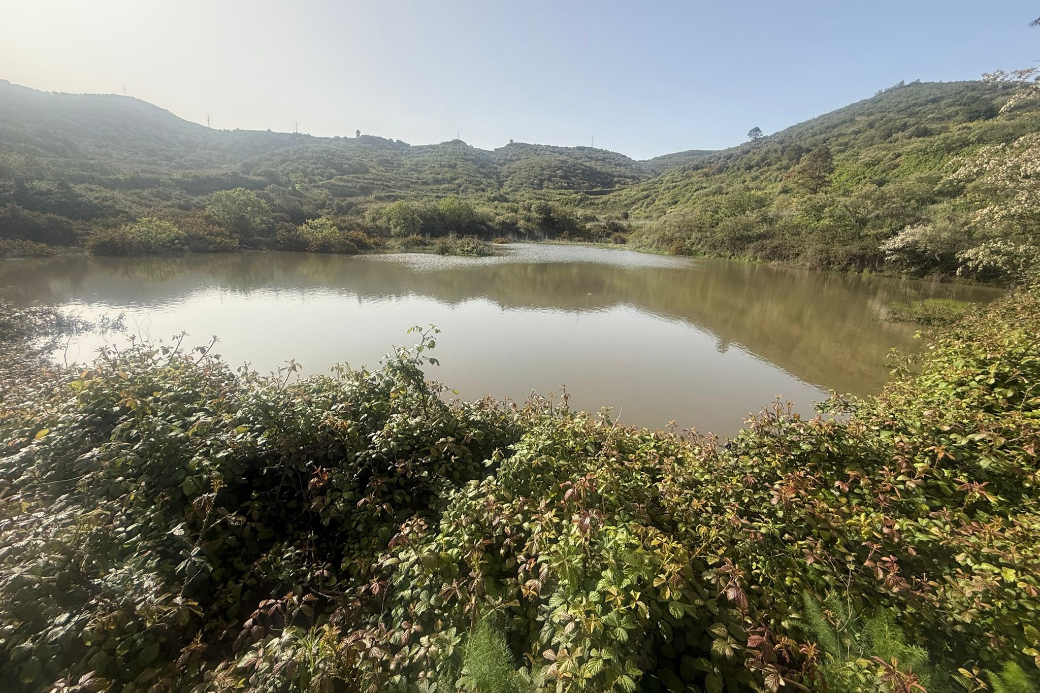 Primer pateo del año. Erjos (4)