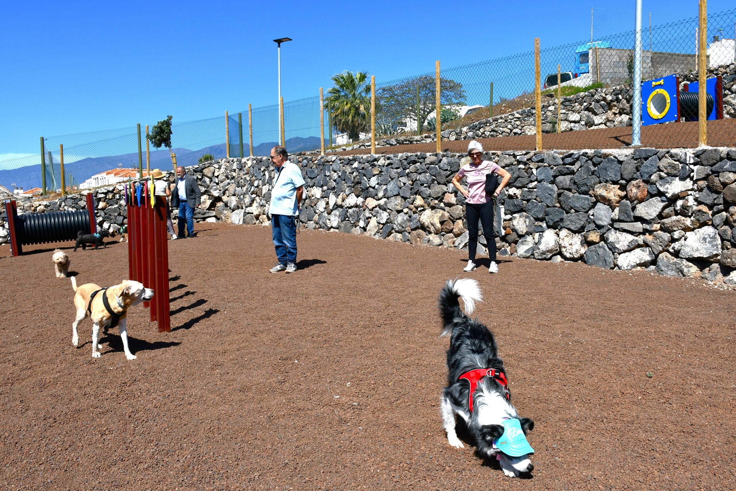 Inauguración Parque Canino Radazul Alto (6)