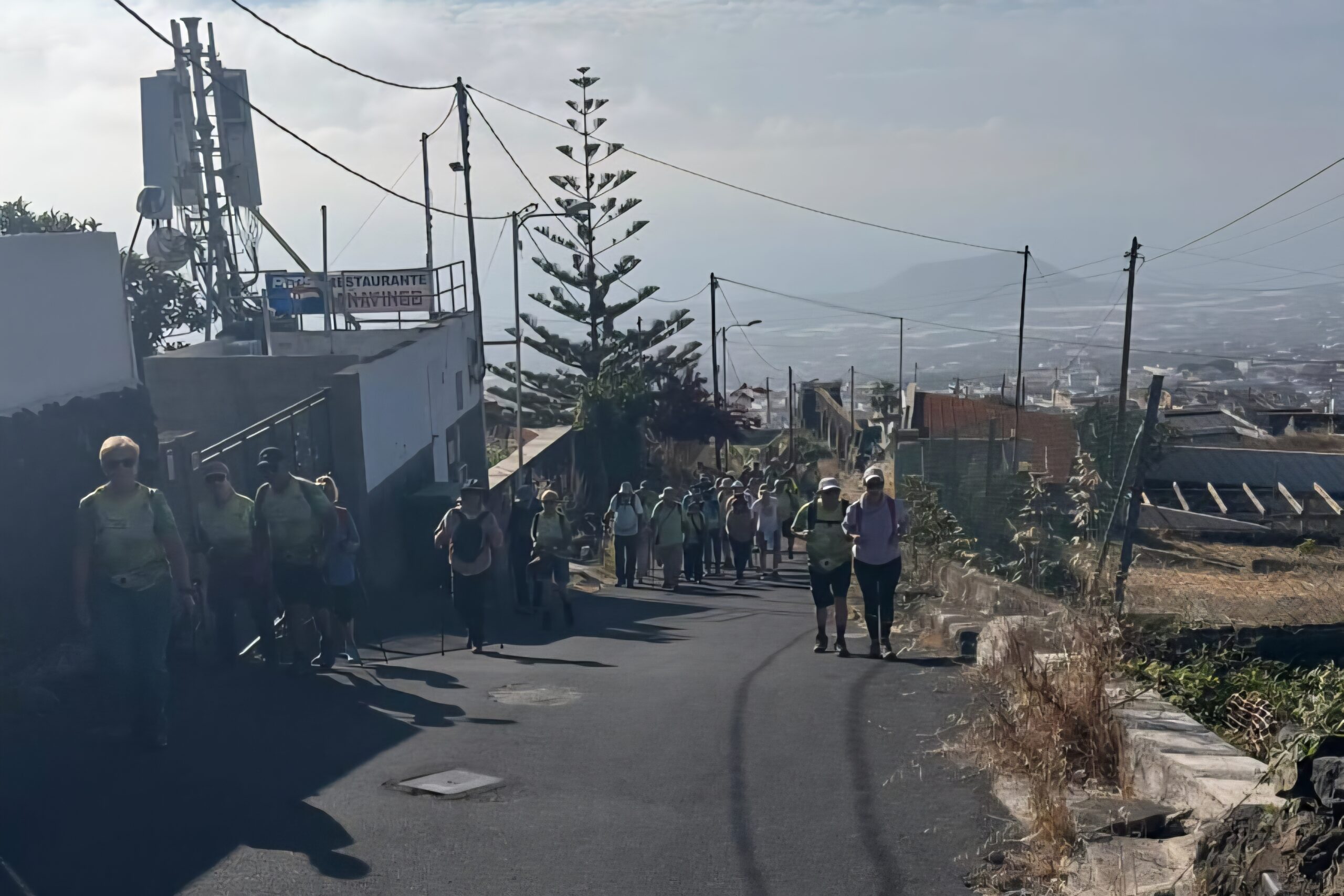 Ruta 3 Senderismo Patean2026 (3)
