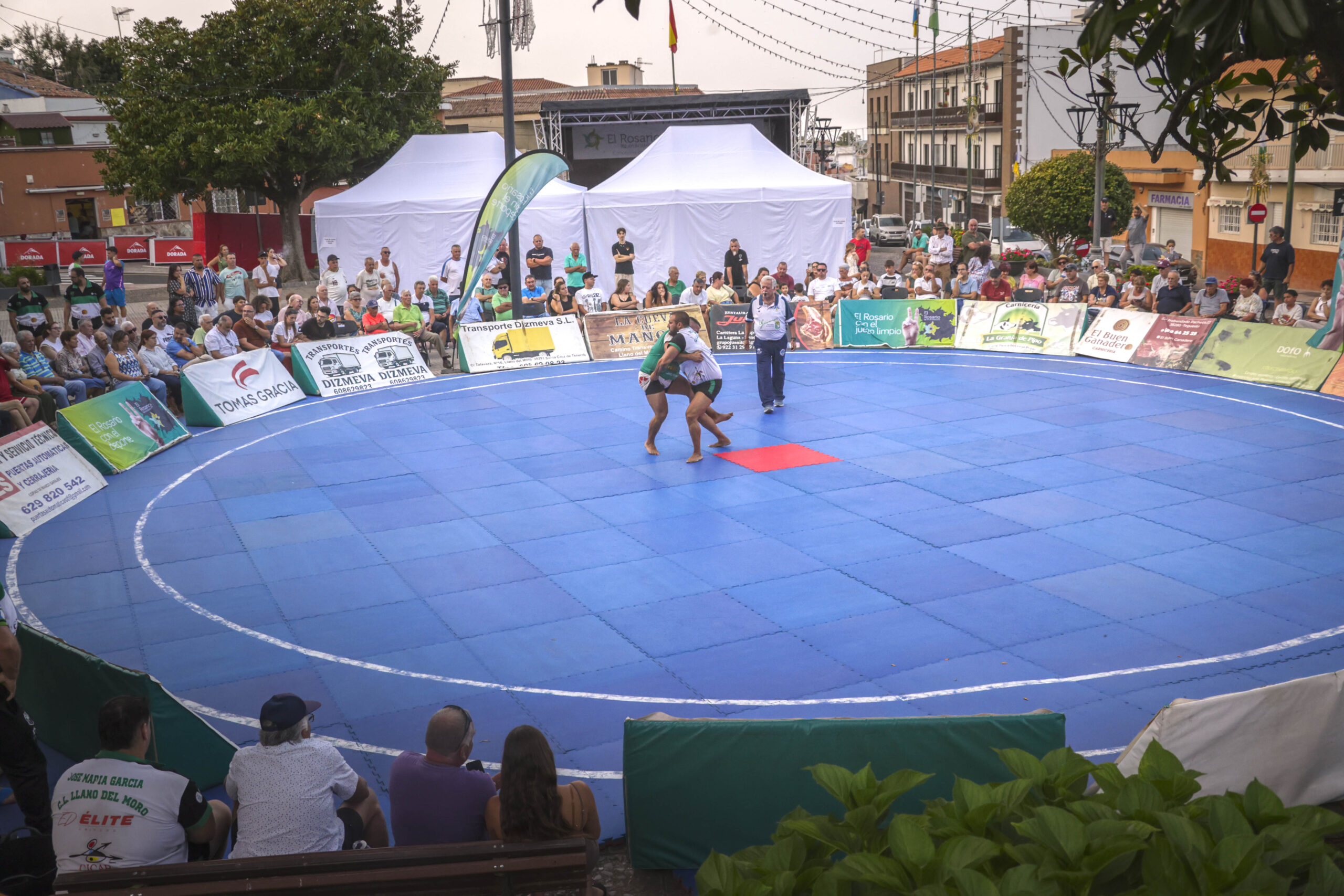 Luchada institucional Fiestas La Esperanza (3)