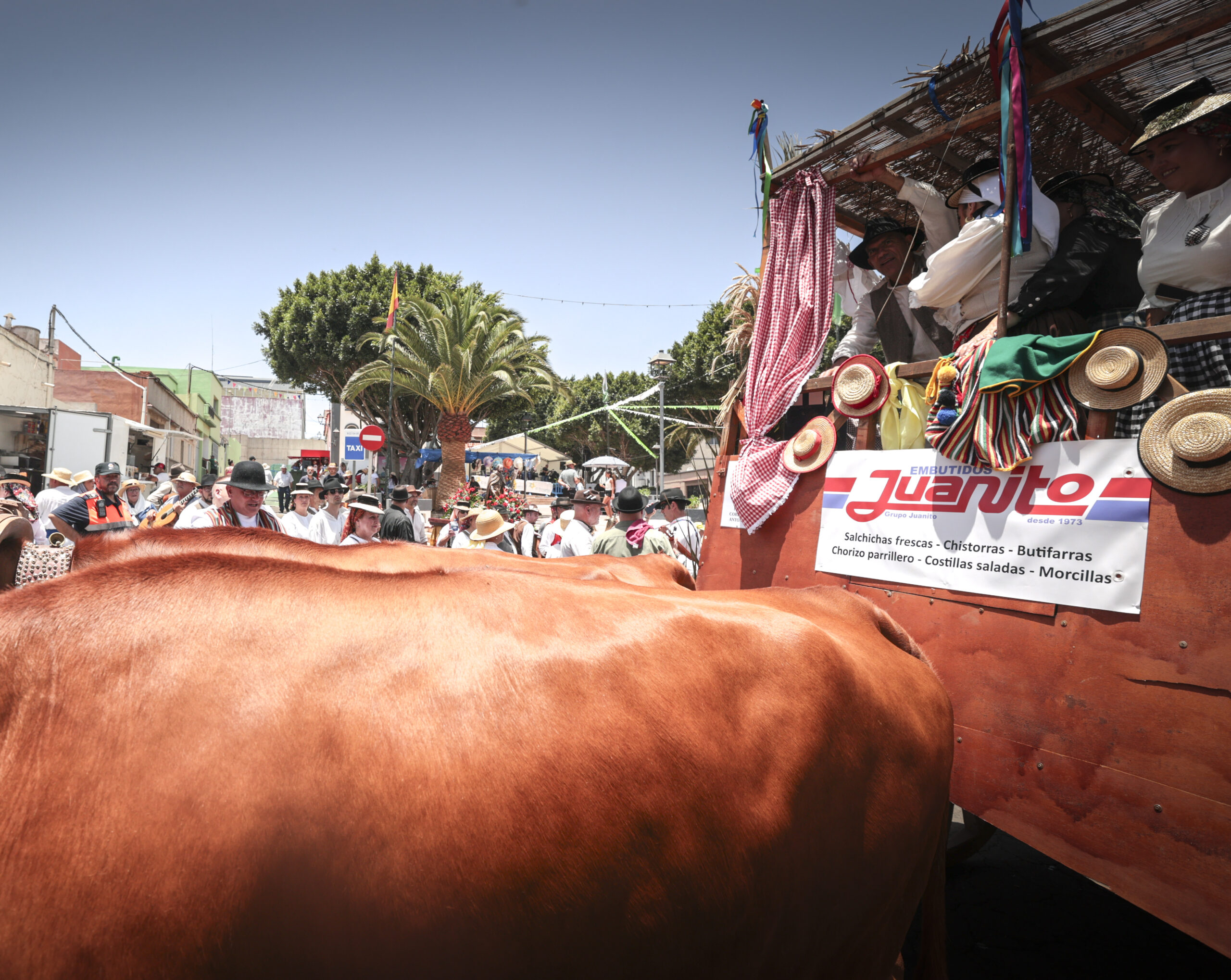 Romeria LLANOMORO RRSS 2026-152