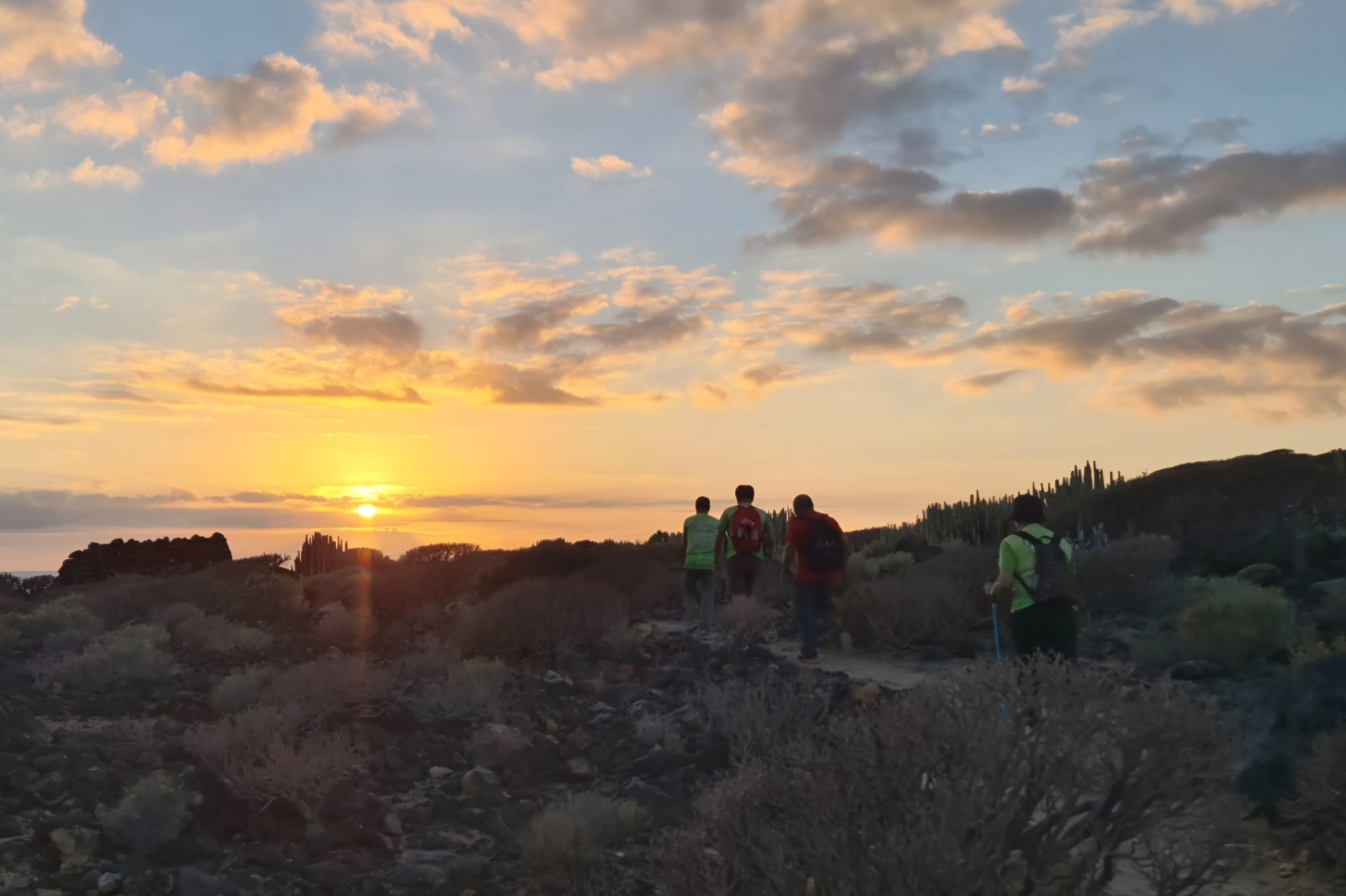 4 senderistas caminando bajo la puesta de sol 