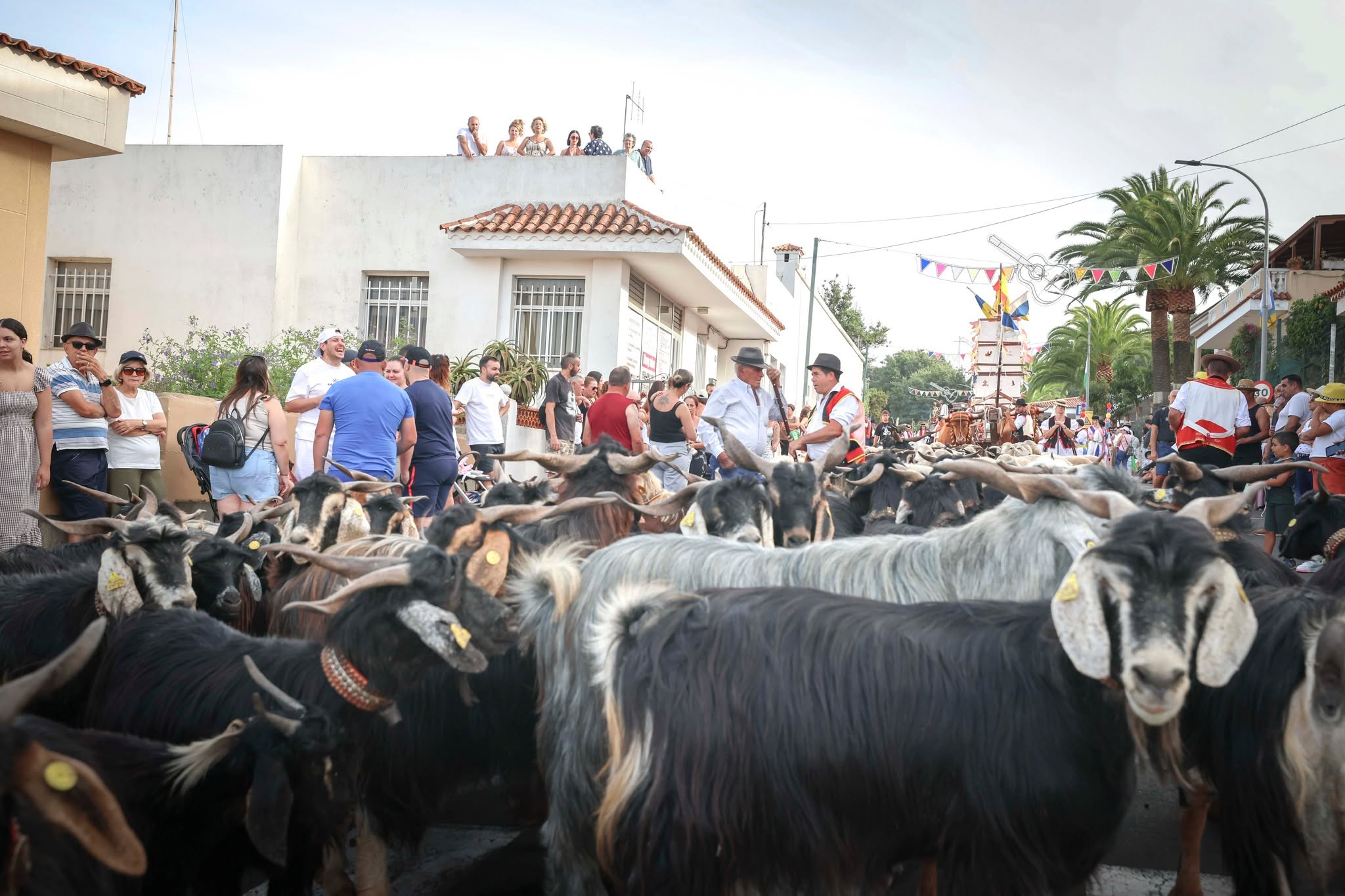Romería La Esperanza (6)