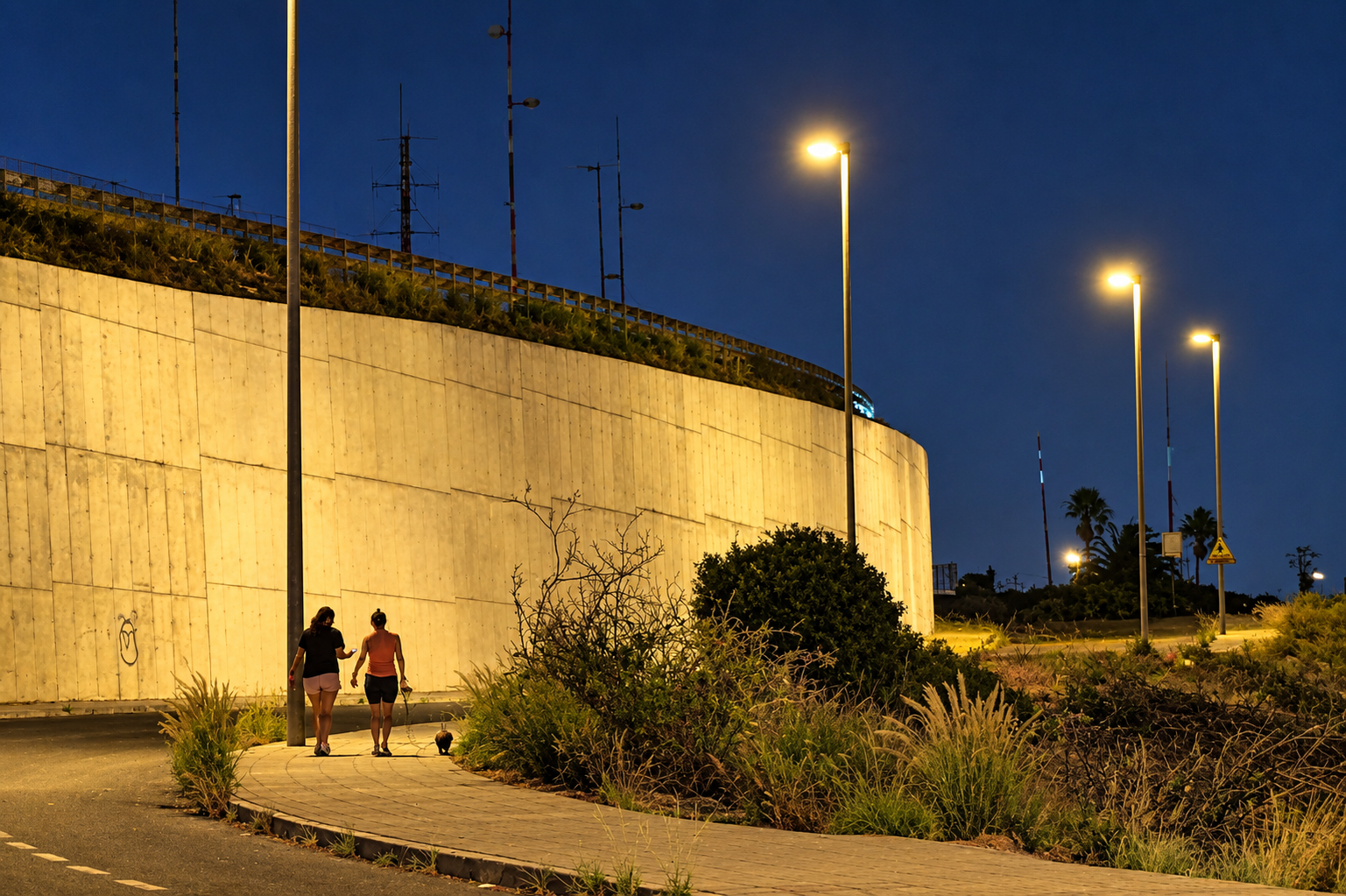 Nuevo alumbrado en acceso a Costanera (2)